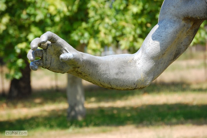 DSC_43402014-06-18_13-50-33