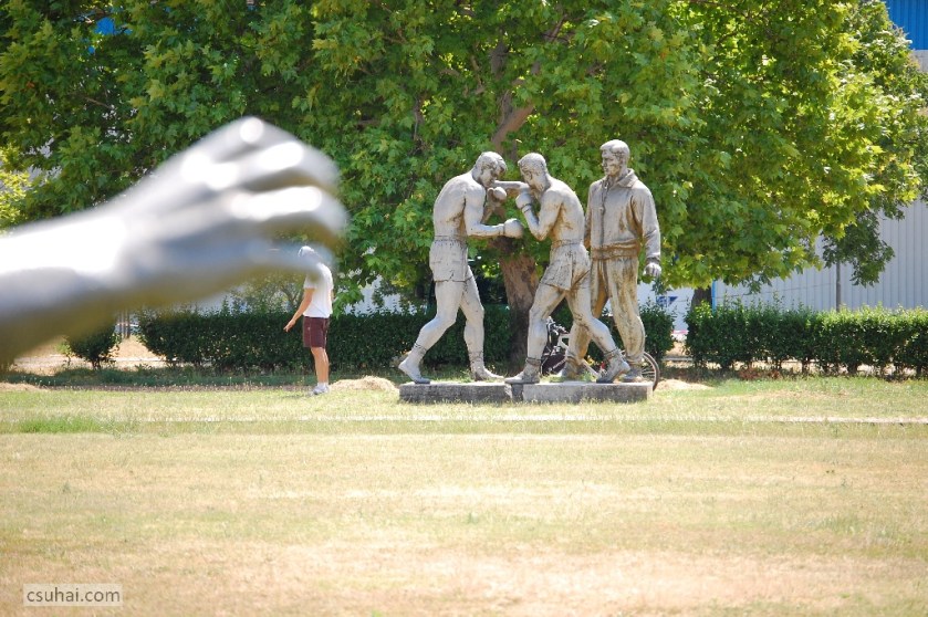 DSC_43792014-06-18_13-55-10