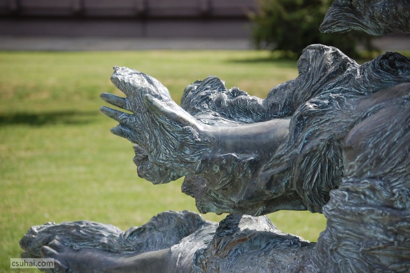 DSC_53782014-07-16_10-39-24