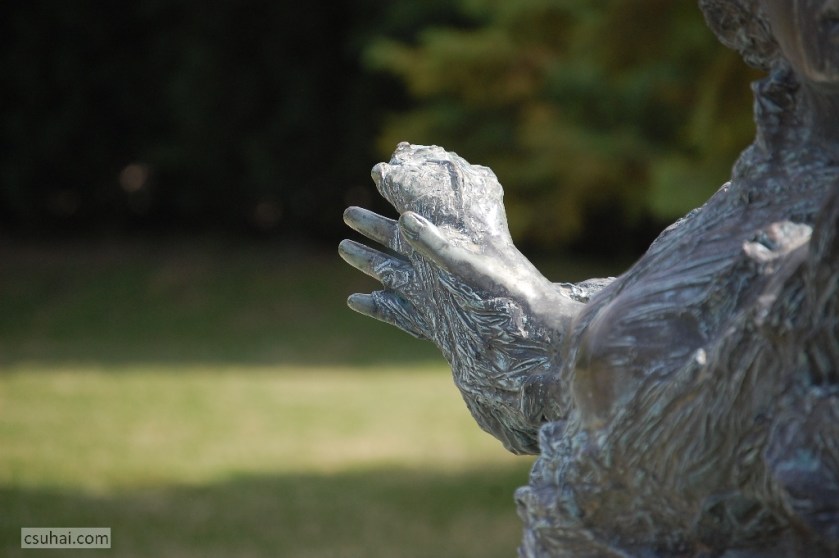 DSC_53982014-07-16_10-41-34