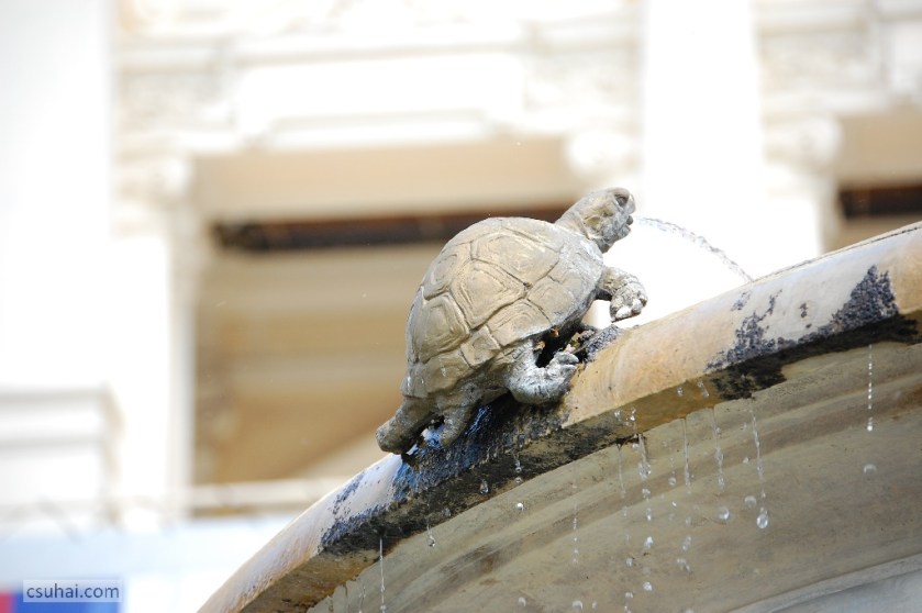 DSC_58852014-07-17_14-26-46