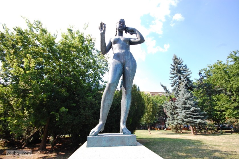 DSC_62422014-07-17_16-06-45