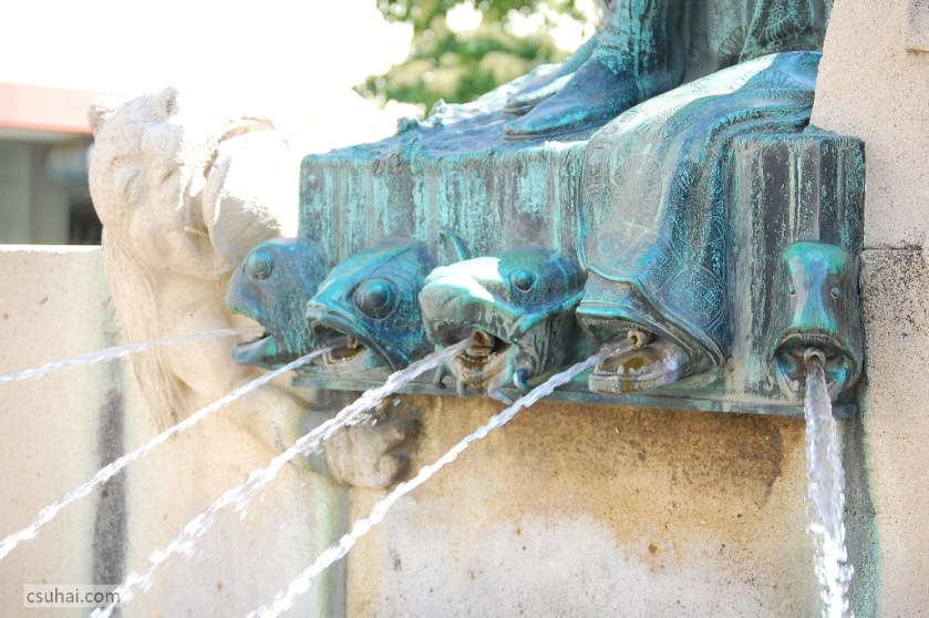 DSC_64832014-07-19_11-09-52