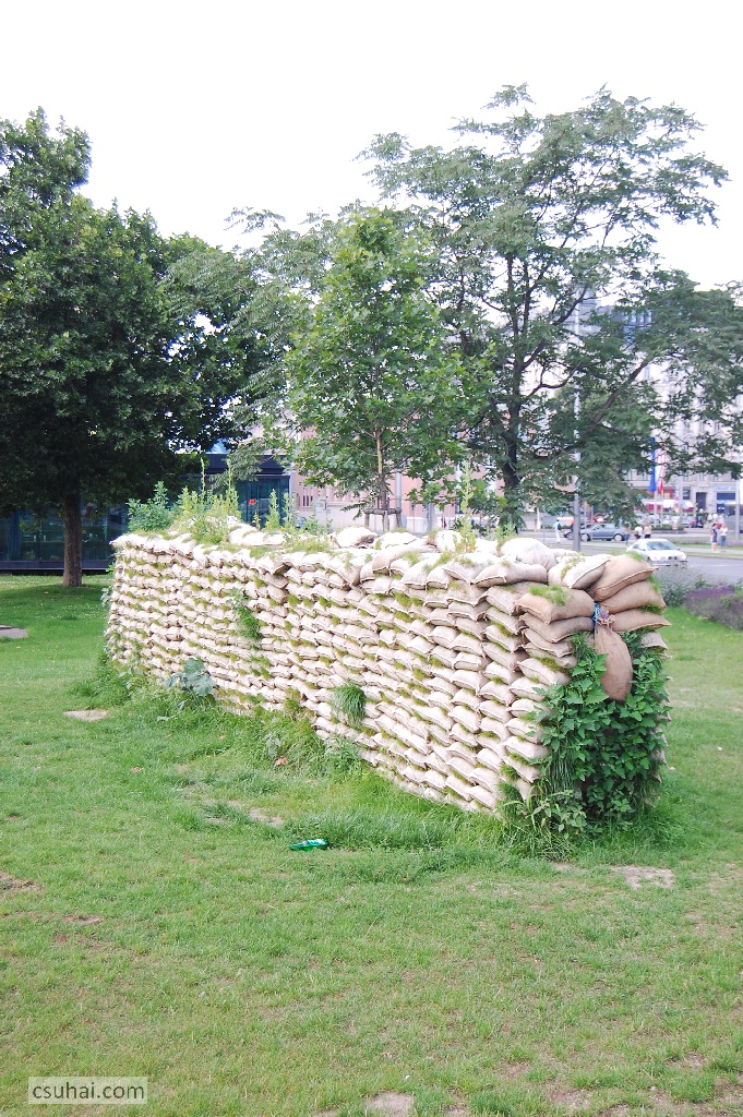 DSC_69622009-07-04_11-48-13