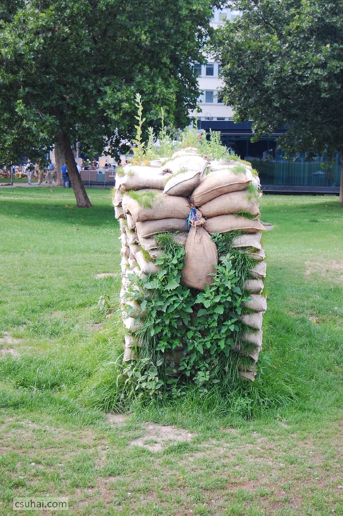 DSC_69632009-07-04_11-48-31