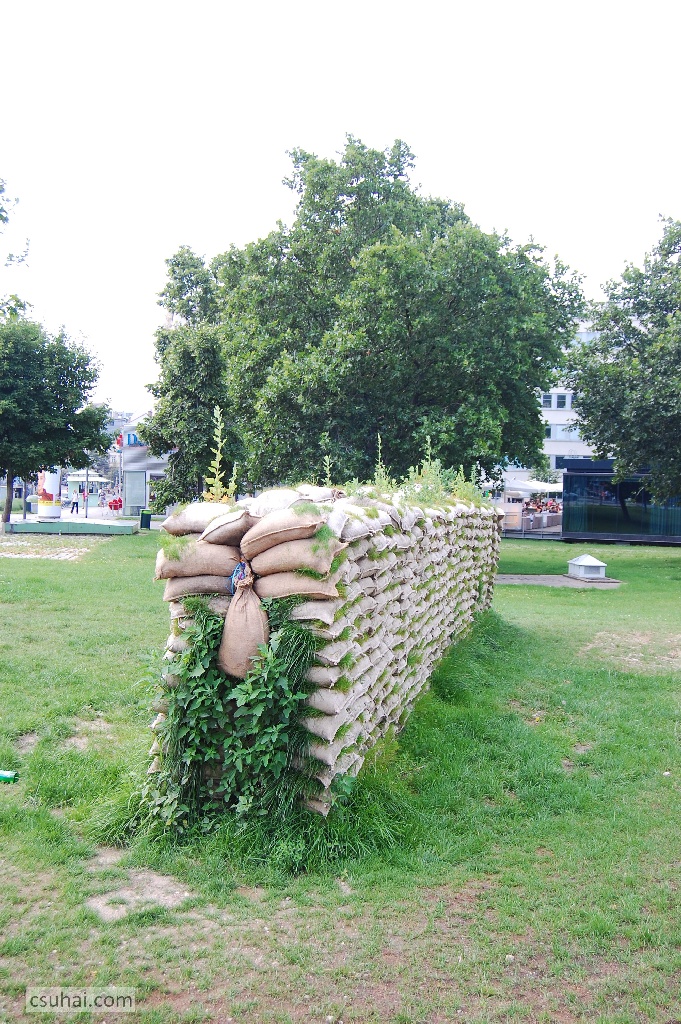 DSC_69642009-07-04_11-48-37