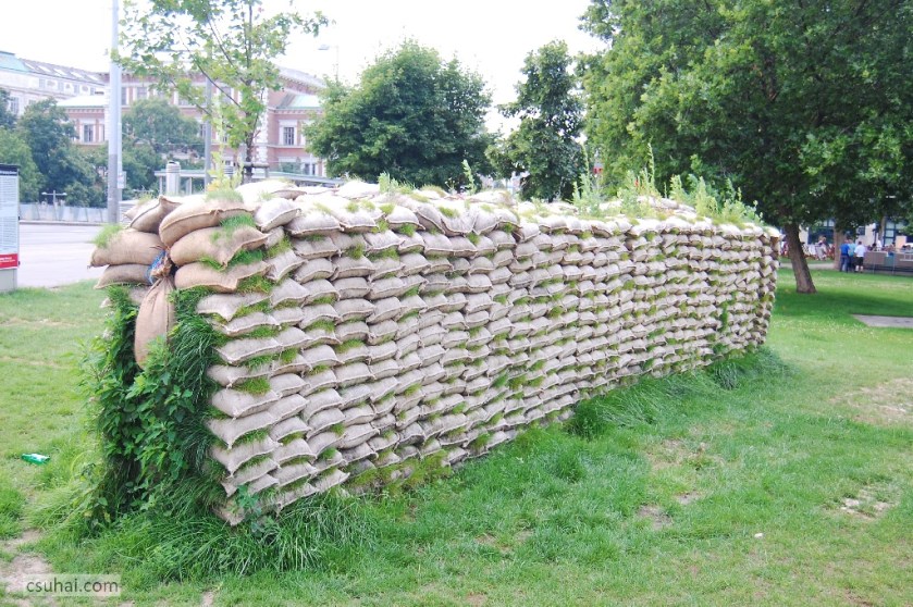 DSC_69652009-07-04_11-48-45