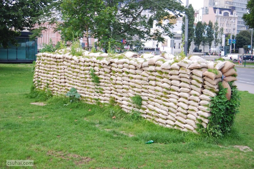 DSC_69662009-07-04_11-49-06