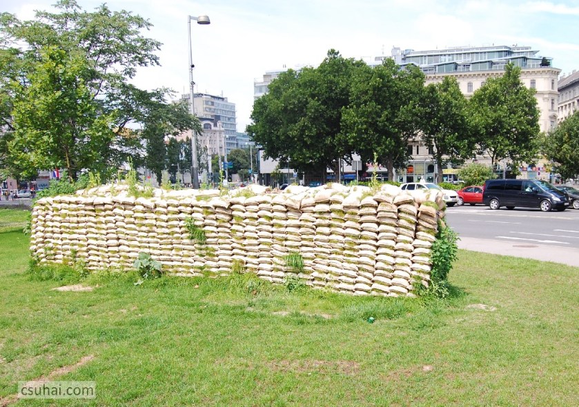 DSC_69672009-07-04_11-49-45