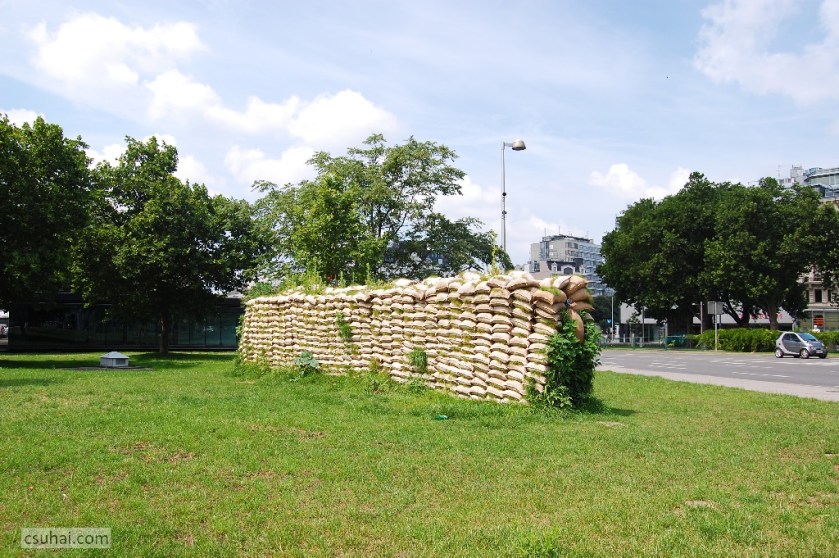 DSC_69692009-07-04_11-50-09