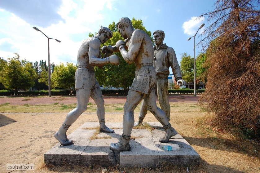 DSC_93372013-08-15_10-45-15