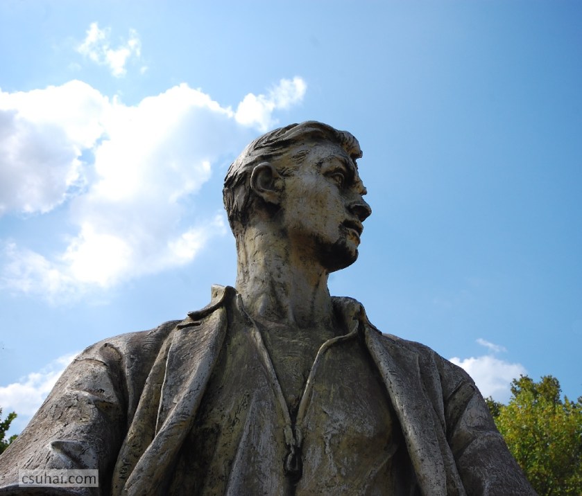 DSC_93592013-08-15_10-47-38