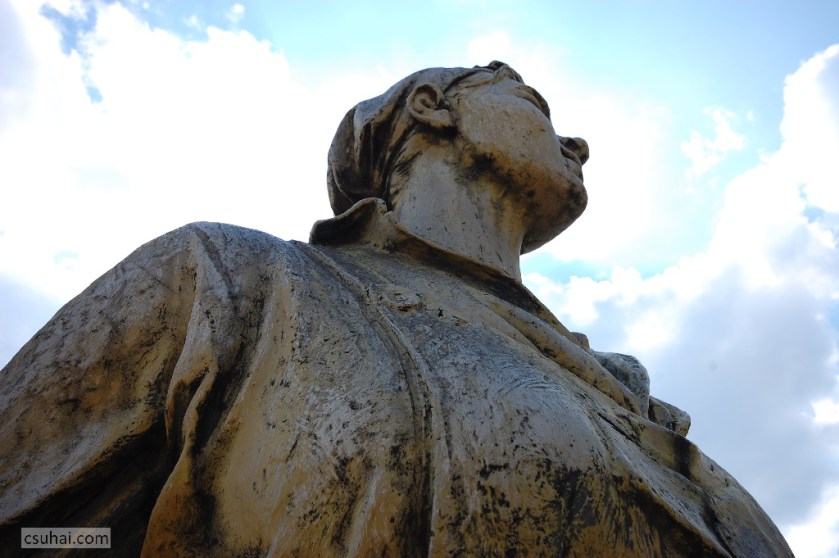 DSC_93602013-08-15_10-47-42