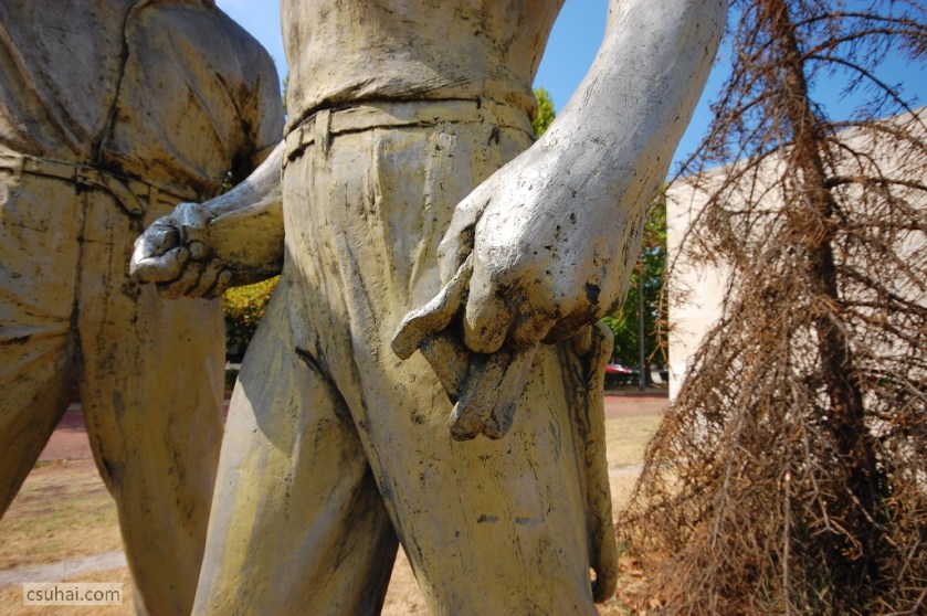 DSC_93702013-08-15_10-48-46