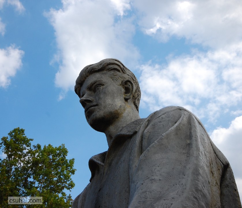 DSC_94102013-08-15_10-53-44