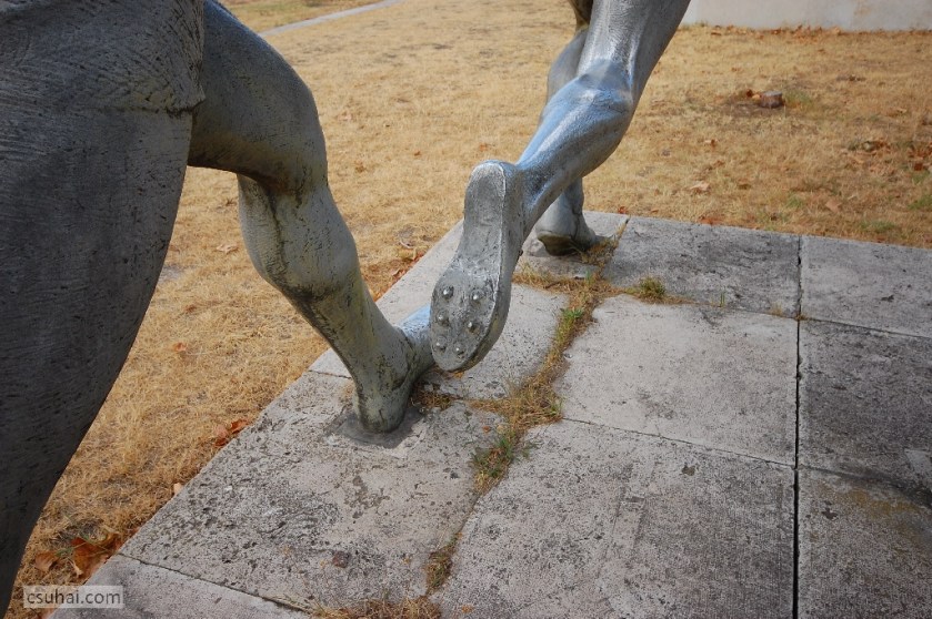 DSC_94412013-08-15_10-56-33