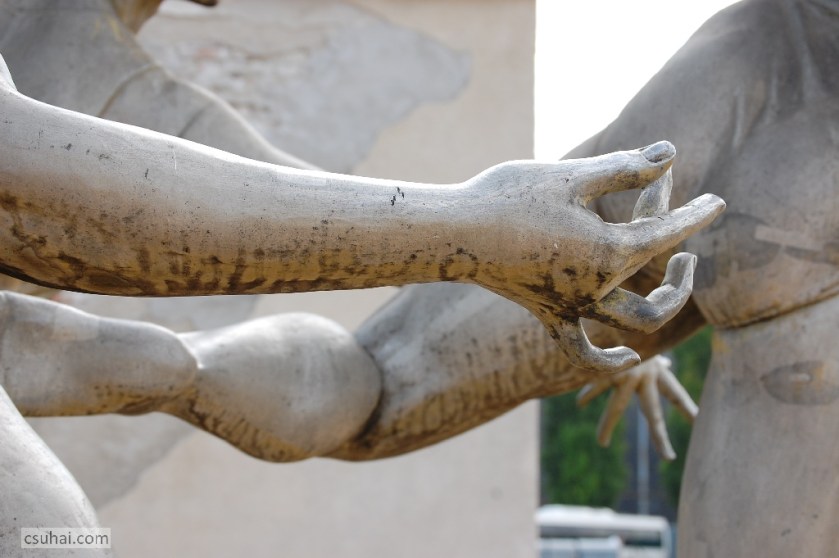 DSC_94872013-08-15_11-01-18