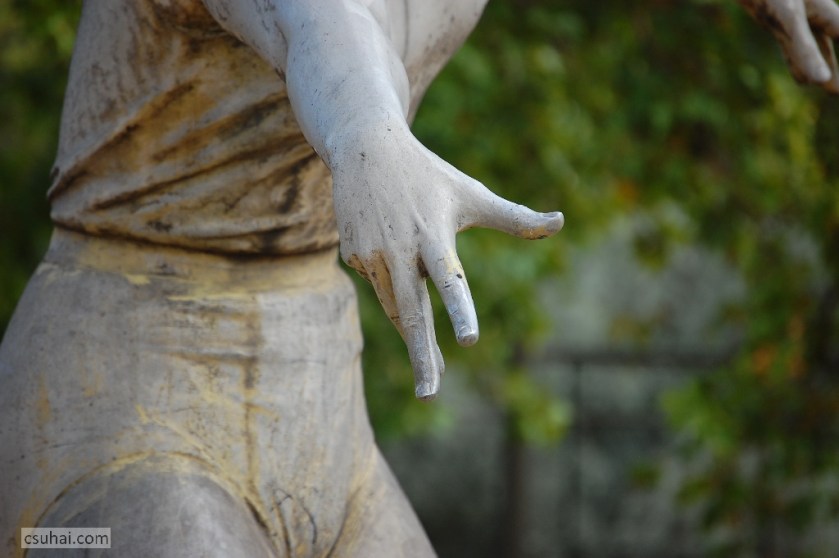 DSC_95022013-08-15_11-02-33