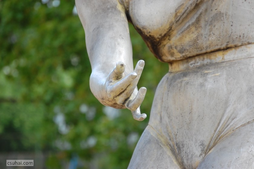 DSC_95032013-08-15_11-02-36