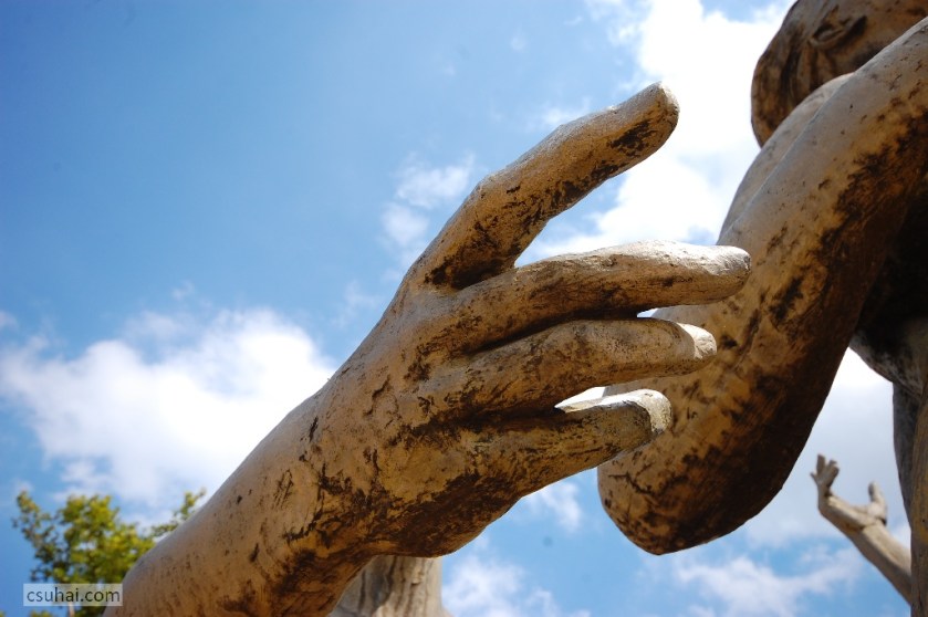 DSC_95352013-08-15_11-05-24