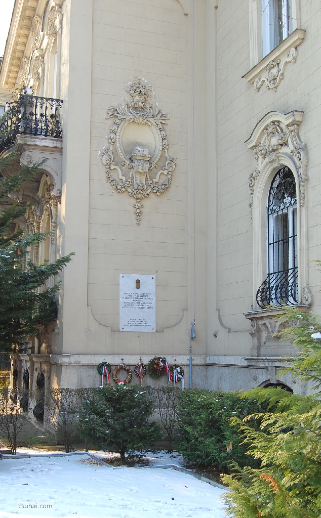 DSC_99012011-01-29_13-42-33