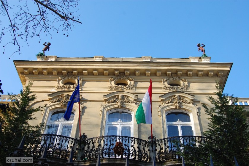 DSC_99052011-01-29_13-43-48