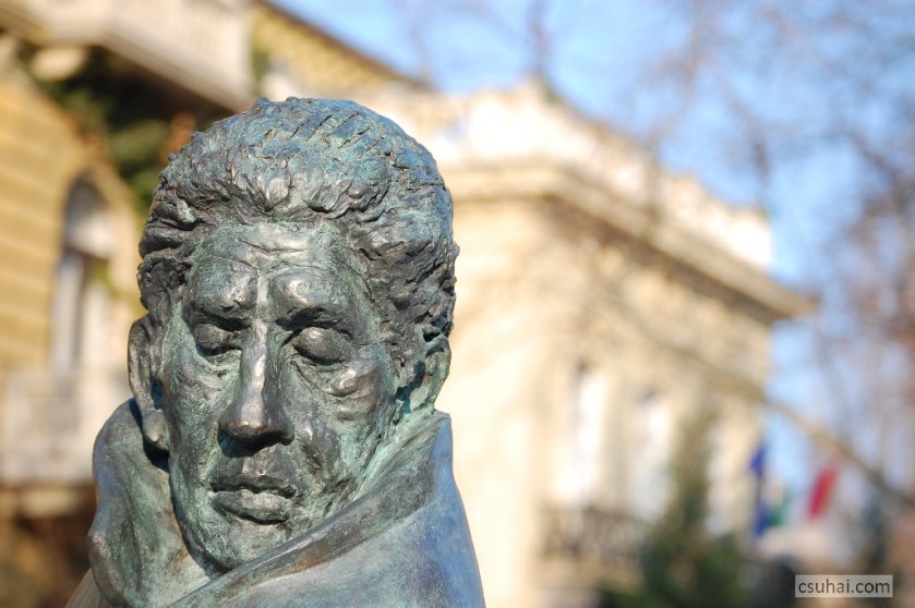 DSC_99242011-01-29_13-49-39