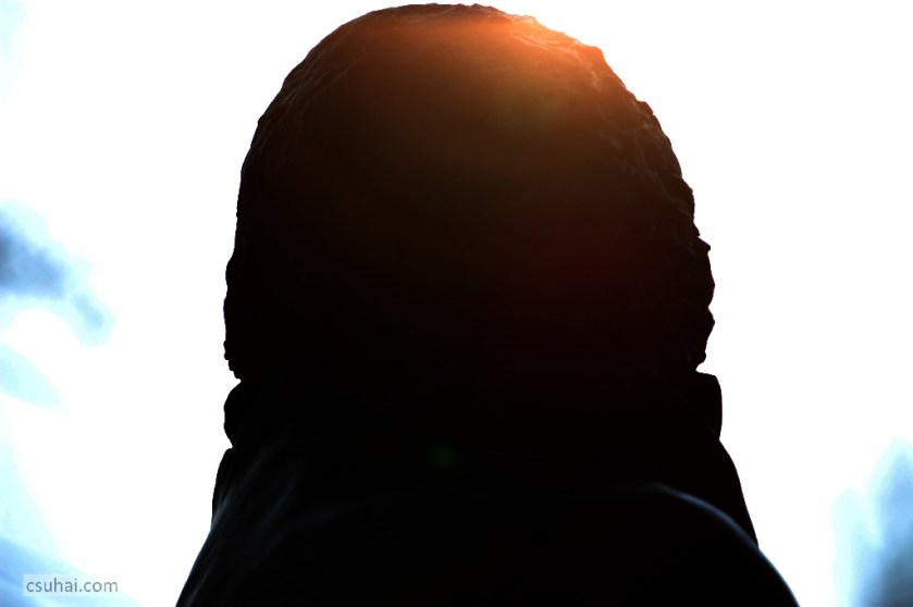 DSC_99262011-01-29_13-50-17