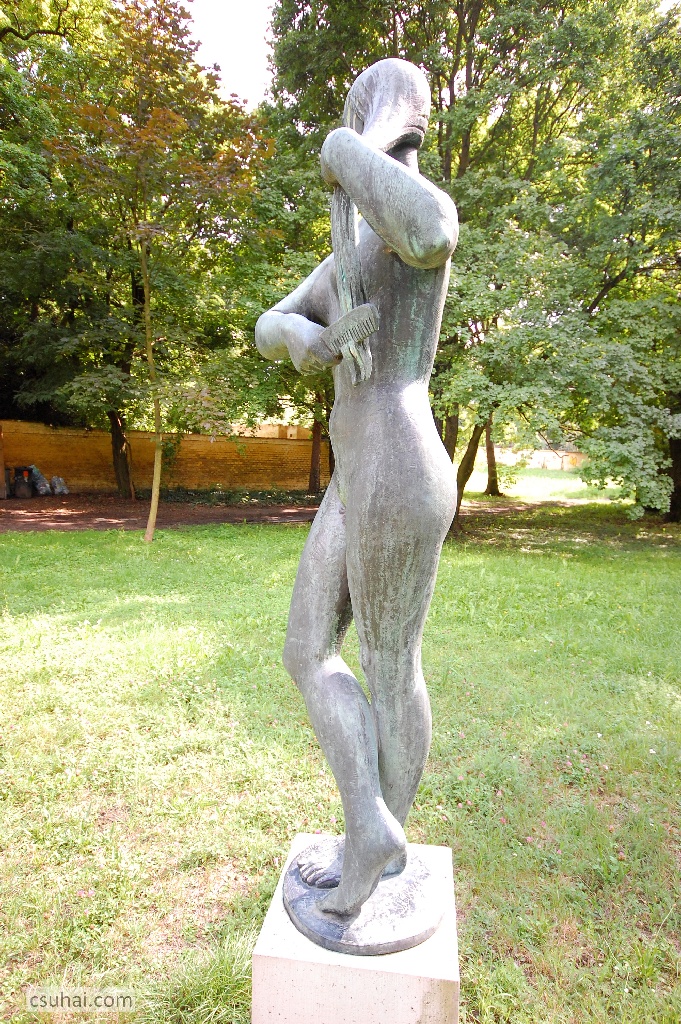 11_DSC_82422014-07-31_15-52-29