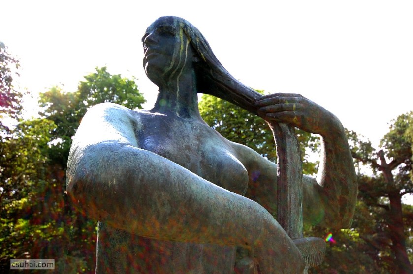 16_DSC_82522014-07-31_15-53-15_