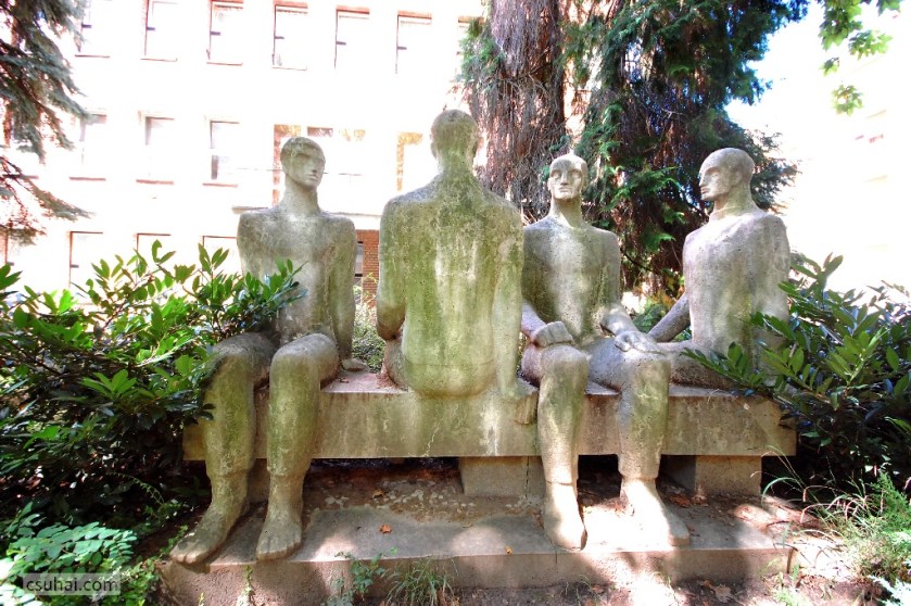 DSC_02932014-08-17_11-26-04