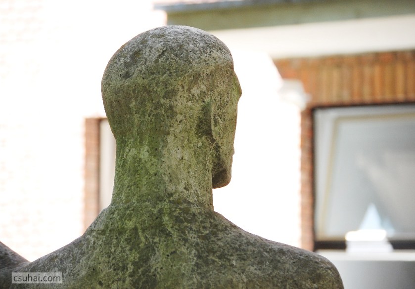 DSC_03062014-08-17_11-28-05