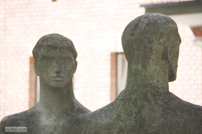 DSC_03072014-08-17_11-28-06