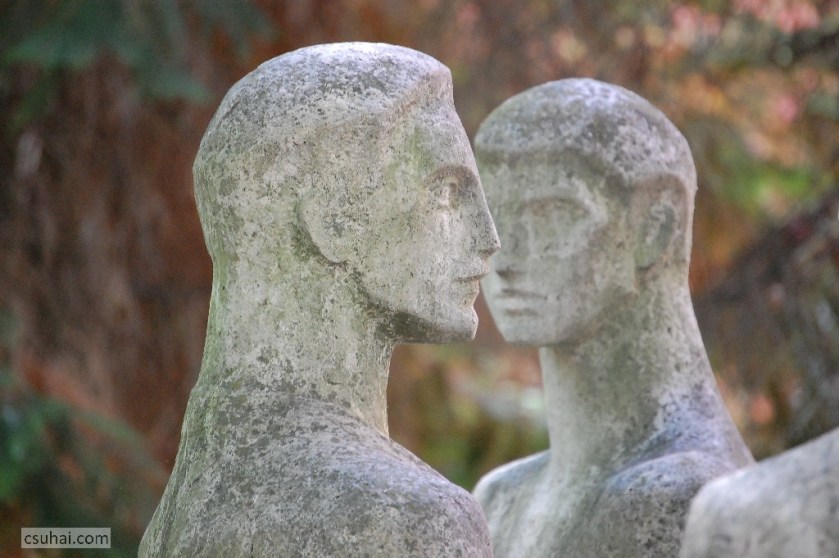 DSC_03142014-08-17_11-28-49