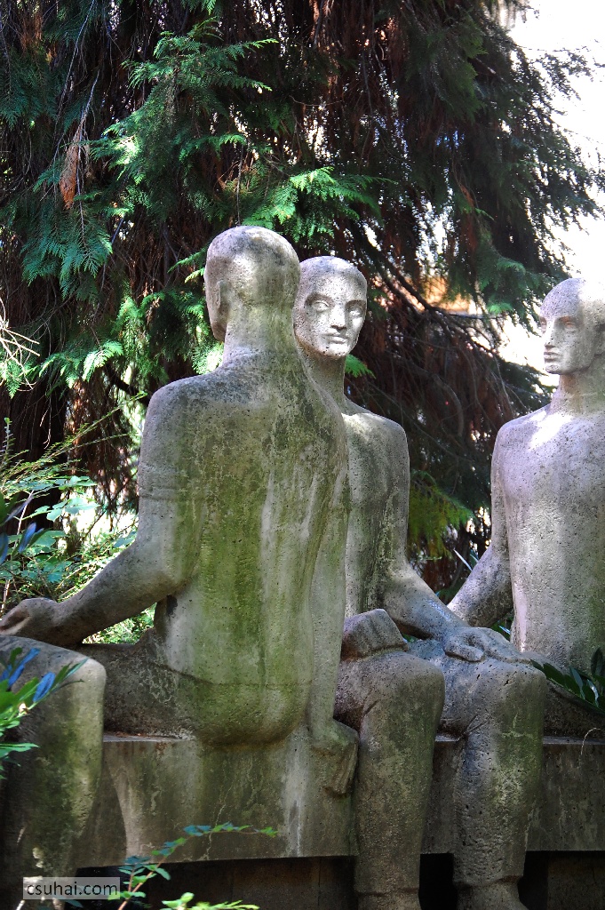 DSC_03392014-08-17_11-31-13