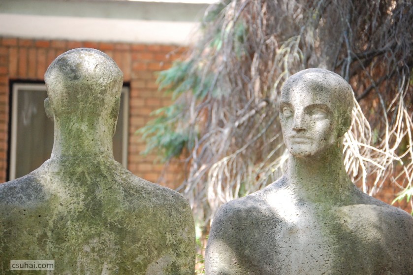 DSC_03472014-08-17_11-31-50