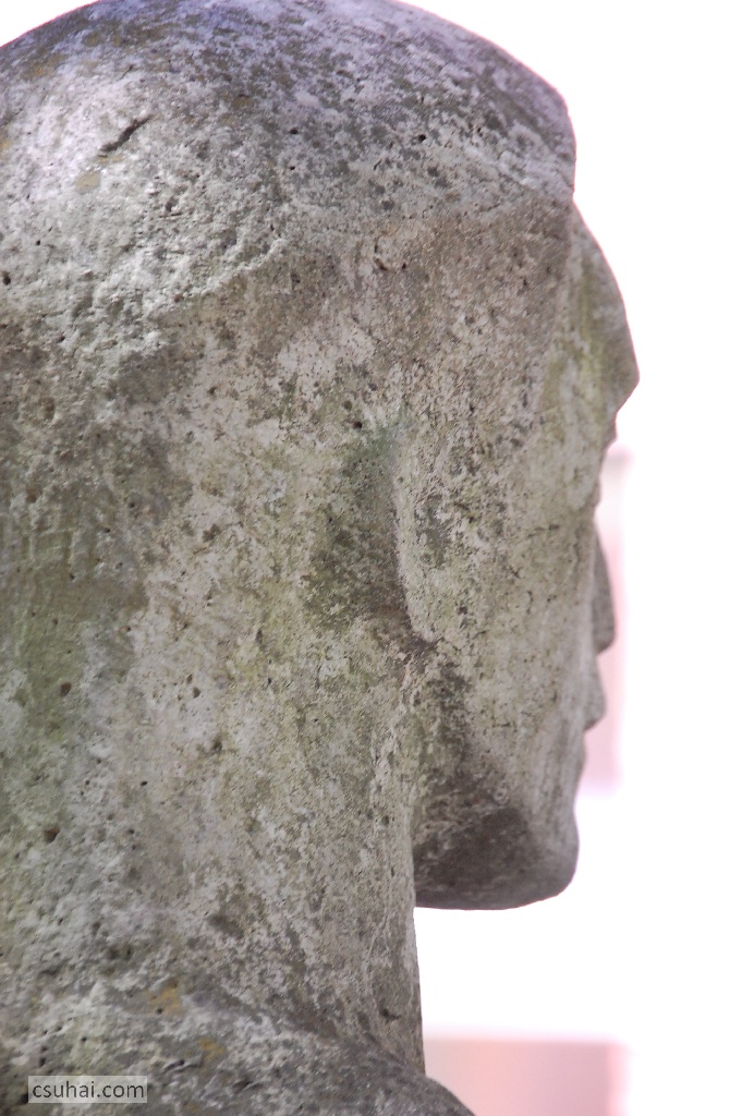 DSC_03542014-08-17_11-32-46