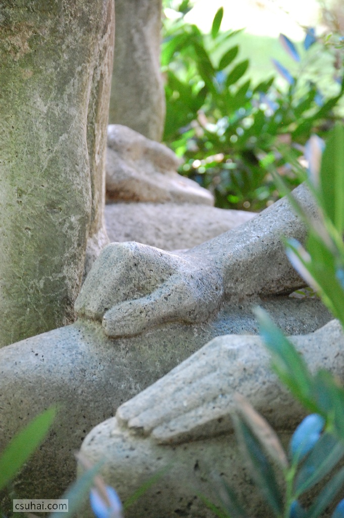 DSC_03662014-08-17_11-33-27