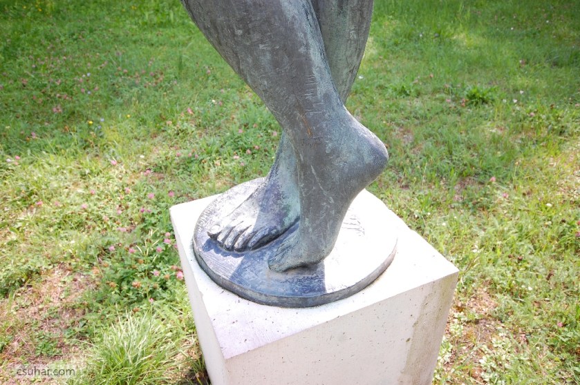 DSC_82432014-07-31_15-52-35