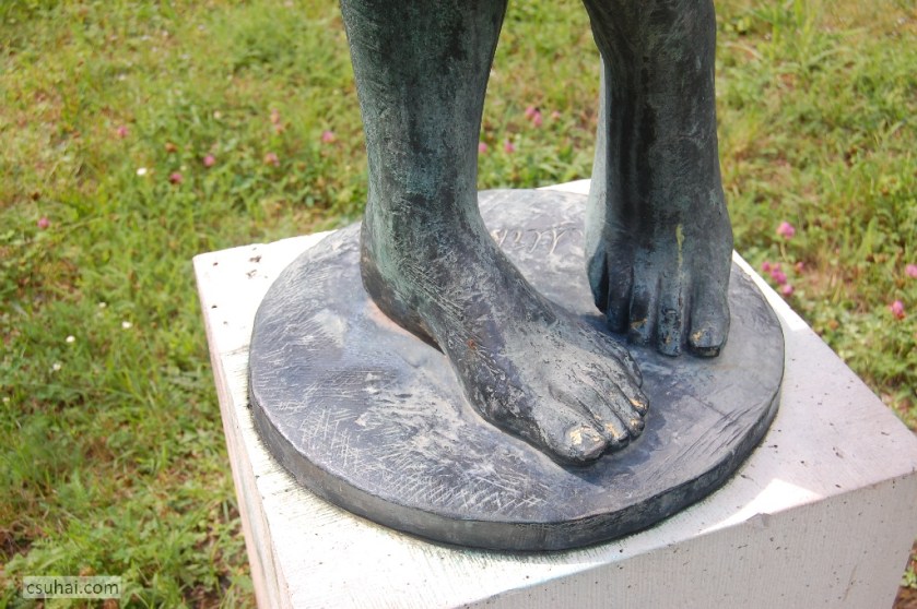 DSC_82642014-07-31_15-54-54