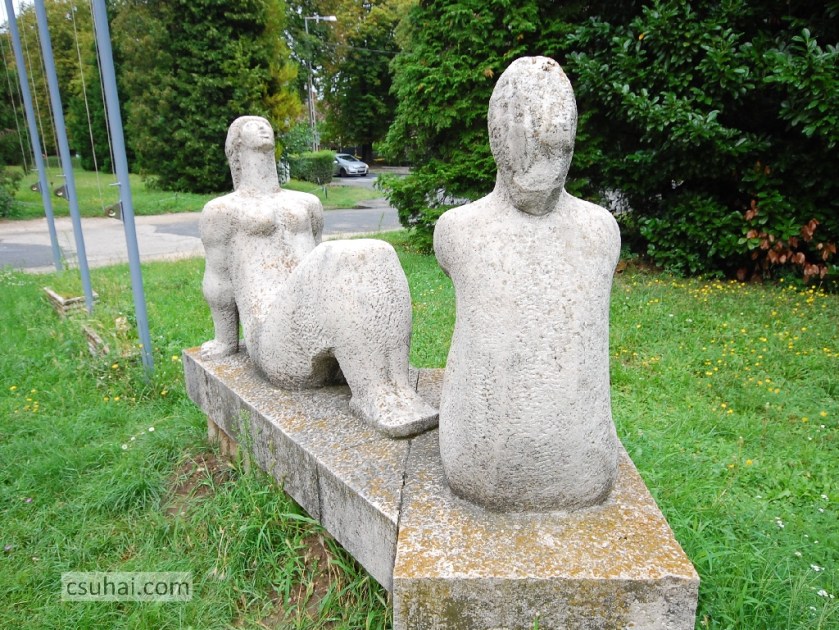 DSC_86872014-08-06_16-17-29