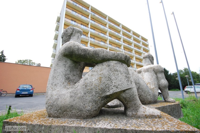 DSC_87002014-08-06_16-18-32