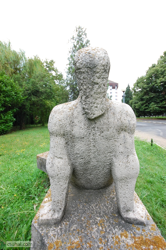 DSC_87072014-08-06_16-19-34