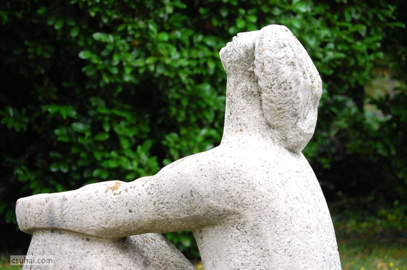 DSC_87432014-08-06_16-28-57