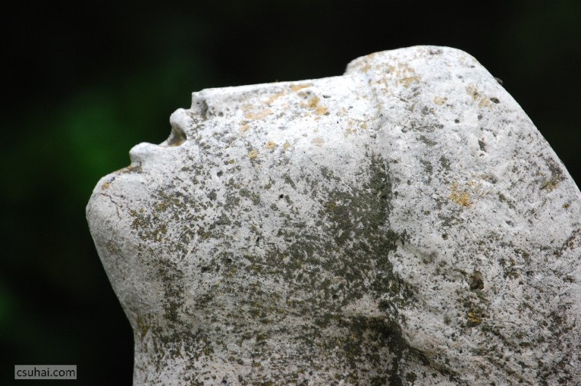 DSC_87492014-08-06_16-29-29