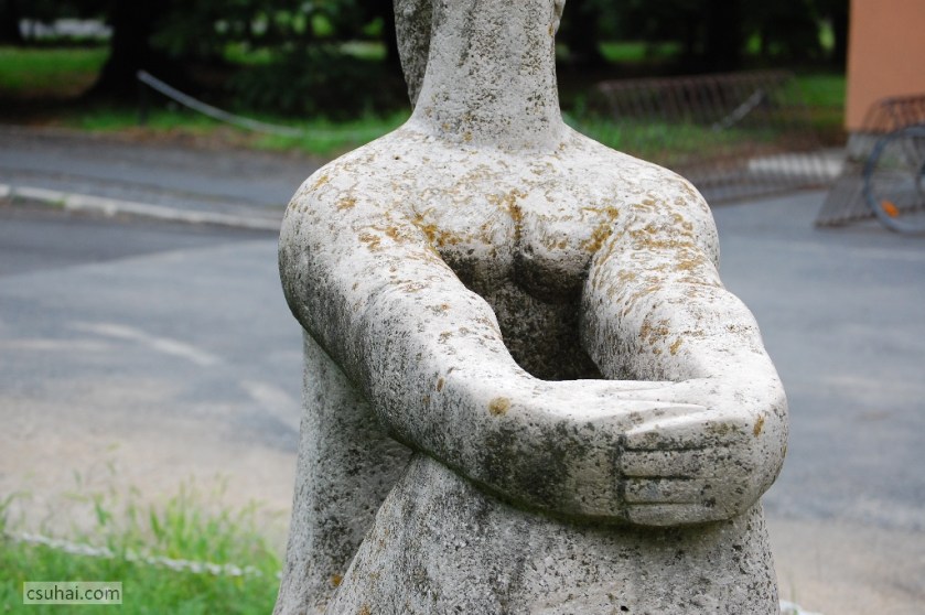 DSC_87572014-08-06_16-30-13