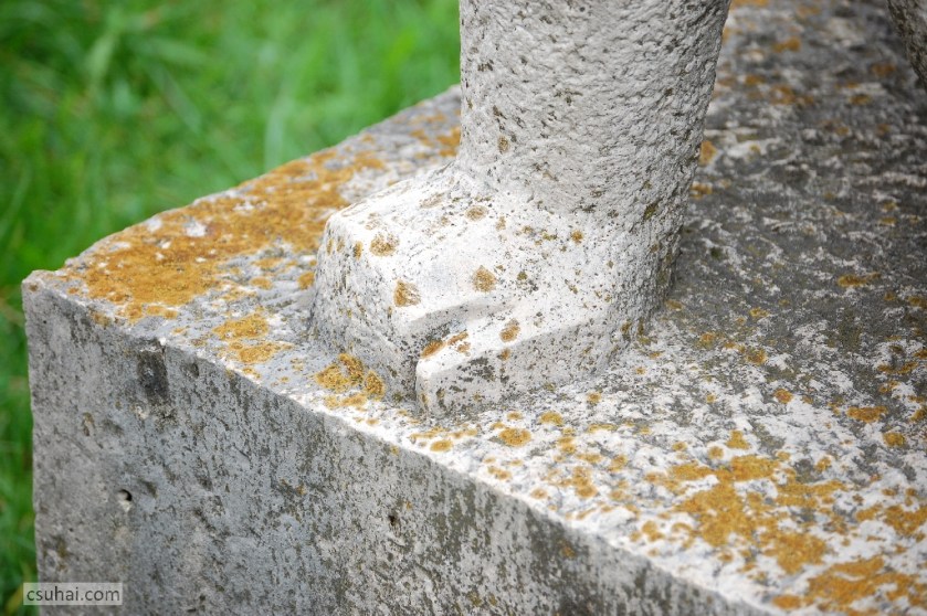 DSC_87702014-08-06_16-31-45