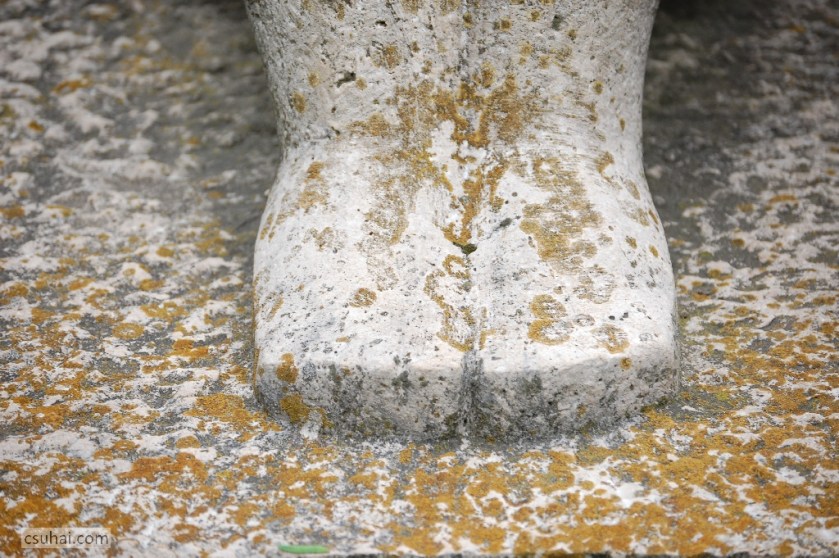 DSC_87712014-08-06_16-31-56