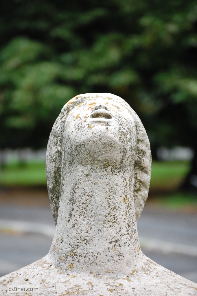 DSC_87752014-08-06_16-32-28