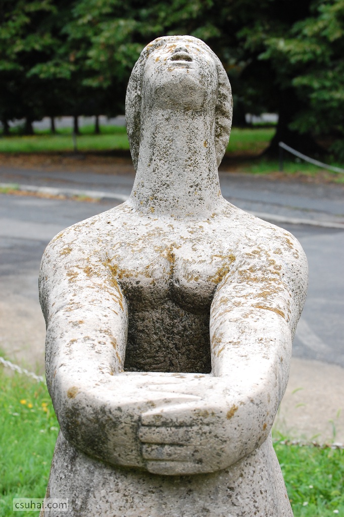 DSC_87772014-08-06_16-32-37